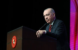 Norėdamas patekti į kalėjimą benamis įžeidė Recepą Tayyipą Erdoganą