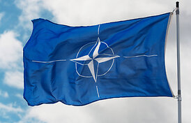 Spauda: NATO kariai Lenkijoje treniruosis, kaip palaikyti taiką Ukrainoje