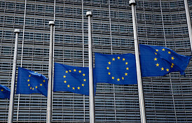 Europos Parlamente atliktos kratos kra&scaron;tutinių de&scaron;iniųjų frakcijos biuruose
