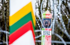 Pasienyje su Baltarusija apgręžta 13 neteisėtų migrantų
