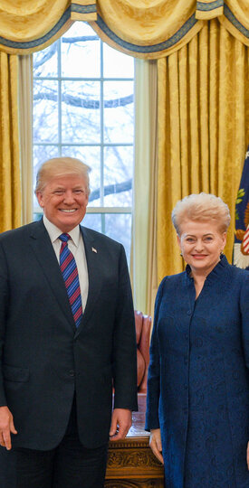 Pernai liepą, kai Donaldas Trumpas ir vėl užsipuolė NATO nares Europoje bei, kaip skelbė &bdquo;The New Yorker&ldquo;, pagrasino &bdquo;eiti savo keliu&ldquo;, i&scaron;gelbėti vir&scaron;ūnių susitikimą padėjo ir Dalia Grybauskaitė.