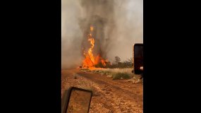 Australijoje nufilmuotas ugnies tornadas