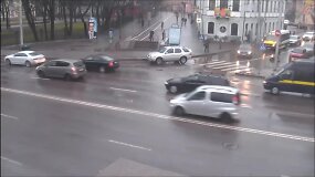 Pagirtinas elgesys: nualpusią kaunietę praeiviai greitai patraukė nuo kelio