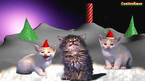 Kalėdų dainas miaukiančios katės „Jingle Cats“