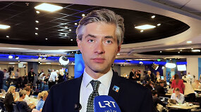 Budrys apie JAV atakas prie&scaron; Iraną: taktiką &bdquo;taika per jėgą&ldquo; Trumpas turėtų pritaikyti ir prie&scaron; Rusiją