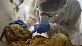 Ilgai mokslininkus intrigavusią paslaptį padės atskleisti XVI a. mumija