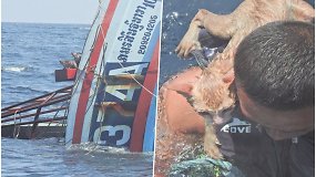 Pareigūnai atliko neeilinę gelbėjimo operaciją – iš skęstančio laivo išplukdė kates