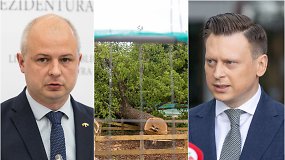 Aplinkos ministras S.Gentvilas ir meras V.Benkunskas – apie savavališką medžių kirtimą