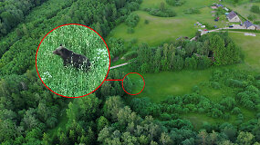 Medžiotojų ir žvejų draugijos įamžintuose kadruose &ndash; &bdquo;Vilniaus me&scaron;ka&ldquo; natūralioje gamtoje