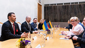 Akimirkos prieš konfidencialų Lietuvos ir Ukrainos premjerų pokalbį
