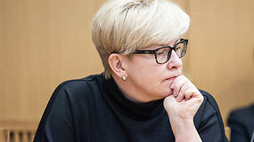 Ingrida &Scaron;imonytė: &bdquo;Čia ne derybos, čia kapituliacija&ldquo;