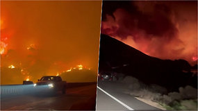 Vaizdai kaip iš pragaro: Kalifornijoje dega 1500 ha plotas