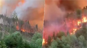 Gaisrai Europoje nesiliauja – dega Čekijos miškai