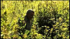 Living Among Grasses / Žalumose trailer