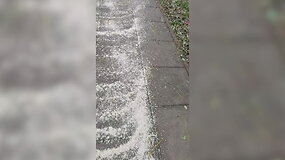 Druska ant &scaron;aligatvio Karolini&scaron;kėse