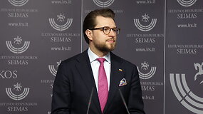 Lukas Savickas: kainų &scaron;uolis gali tęstis ilgesnį laikotarpį