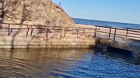 Palangoje Rąžės upėje įstrigo briedis