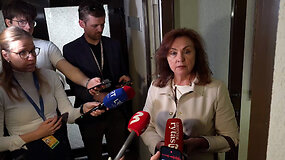 Daiva Petkevičienė apie kratas Seime: &bdquo;Nieko nežinau&ldquo;