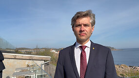 Kęstutis Budrys: Europa turi didinti spaudimą Rusijai