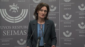 Viktorija Čmilytė-Nielsen: &bdquo;Ai&scaron;kinsimės, kaip planuojama įgyvendinti tokią idėją&ldquo;