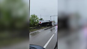 Marijampolėje dėl briedžio vertėsi &bdquo;Maxima&ldquo; sunkvežimis