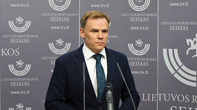 Mindaugas Lingė apie Ingą Ruginienę: &bdquo;Tai yra baltas lapas&ldquo;