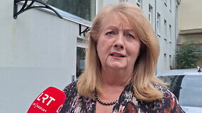 Blinkevičiūtė: Gintas yra puikus premjeras