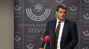 Remigijus Žemaitaitis: &bdquo;Biudžetas kainuos nervų visai koalicijai&ldquo;