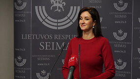 Inga Ruginienė: &bdquo;Net nežiūrėjau į balsavimą&ldquo;