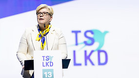 TS-LKD: Ingridos Šimonytės komentarai