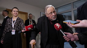 V.Landsbergis apie naująją koaliciją: „Žavinga“