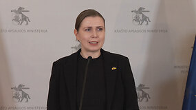 Dovilė &Scaron;akalienė: konkretūs BVP procentai gynybai nėra įra&scaron;yti, bet tai nekeičia įsipareigojimų