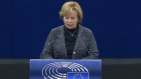 Lietuvos europarlamentarai apie Rusijos paskelbimą teroristine valstybe