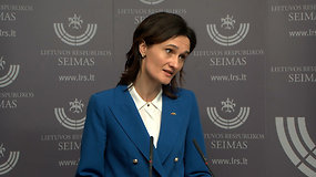 Viktorija Čmilytė-Nielsen: turime balansuoti tarp nacionalinio saugumo ir rūpesčio žmogaus teisėmis