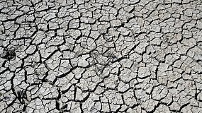 Ispaniją kausto beprecedentė sausra: kiek ši stichija kainuos šaliai?