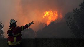 Gaisrai atkeliavo ir iki Portugalijos: ugnis įsiplieskė nacionaliniame parke netoli Lisabonos