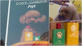 „Dolce & Gabbana“ išleido kvepalus šunims, tačiau veterinarai pastebi riziką