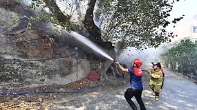 Poilsiautojų pamėgtame krašte Turkijoje kilo miškų gaisrai