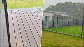 Liūtis neaplenkė vidurio Lietuvos: plauna ir Kauną