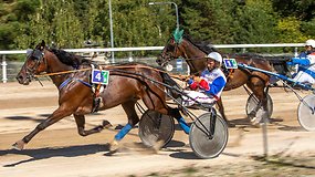 „Derby“ ir „Kriterium“ ristūnų žirgų lenktynių finalas