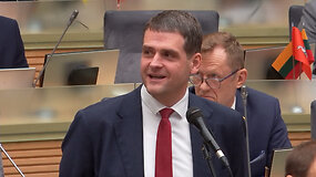 Remigijaus Žemaitaičio replika Ingridai &Scaron;imonytei Seime