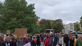 Kultūros bendruomenės protestas Klaipėdoje