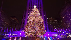 Niujorke įžiebta Kalėdų eglė
