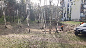 Vilniaus Priegliaus gatvėje šalinami medžiai: kilo klausimų dėl leidimo tai daryti