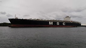 Laivas „MSC Francesca“ įplaukia į Klaipėdos uostą