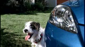 Kanų liūtų reklamos: „Mazda 3“ ir šuo, 2005 m.