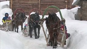 Žiemos siautėjimas Altajuje, šiaurės vakarų Kinijoje