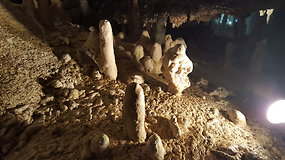 Demanovo slėnio stalagmitų ir stalaktitų Laisvės urvas