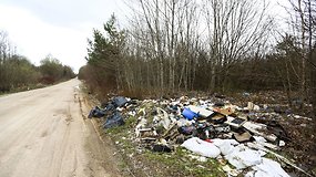 Žmonės Vilniaus Dieveniškių gatvę pavertė sąvartynu