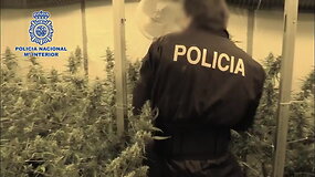 Kriminalinė policija 20-mečio proga: tai &ndash; ne holivudiniai vaizdai